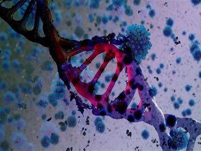 علماء يحددون متغير جيني يقلل من خطر الزهايمر 