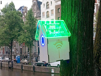 منازل للطيور في شوارع أمستردام تقدم 