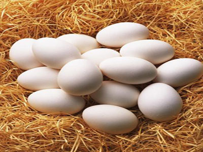 البيض و نظامك الغذائي