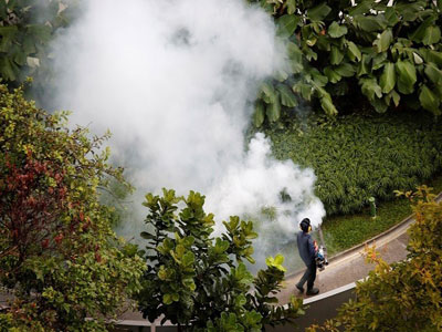 رش مبيدات حشرية في سنغافورة بعد تفشي فيروس زيكا