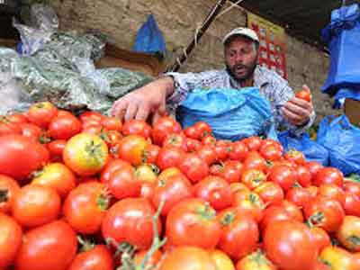 فلاحو تونس يحتجون على تدفق مئات الشاحنات المحملة بالطماط من ليبيا 