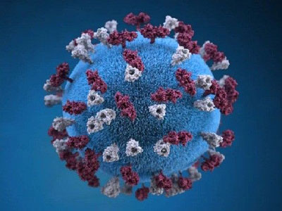 دراسة: الرجال أكثر عرضة للإصابة بفيروس كورونا 