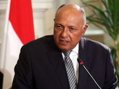 مصر تجدد دعمها لتحقيق حل سياسي شامل في ليبيا 
