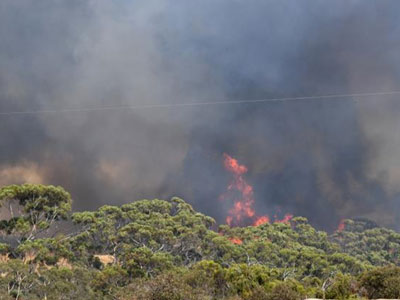 حرائق الغابات في استراليا تتأجج وسط موجة حر تنذر بتفاقم الأزمة
