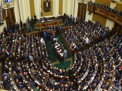 البرلمانية المصرية زينب سالم