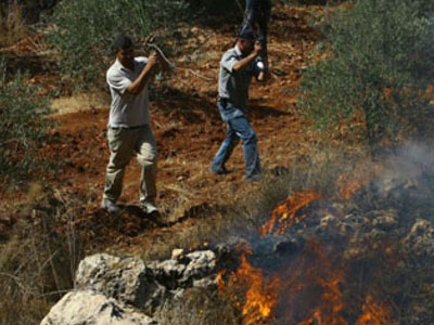 مستوطنون صهاينة يضرمون النار بأشجار الزيتون في حوارة جنوب نابلس 