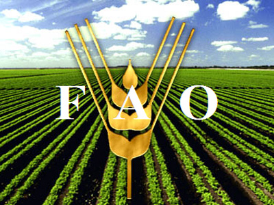 منظمة الأغذية والزراعة 