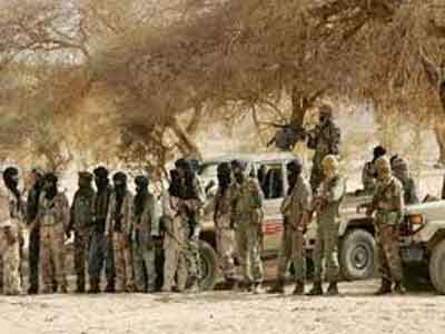 مصادر:مليشيا موالية للحكومة في مالي تقتل 8 من الإسلاميين 