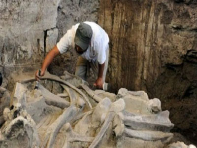 عمر هذه العظام يعود إلى نحو 14 ألف عام 