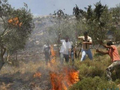 مستوطنون صهاينة يحرقون أراضي زراعية ويهاجمون منازل جنوب نابلس  