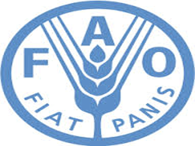 منظمة الأمم المتحدة للأغذية والزراعة
