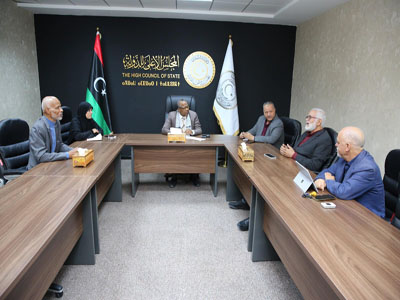 لجنة دعم القضية الفلسطينية بالمجلس الأعلى للدولة تناقش الترتيبات النهائية لانطلاق الحملة  