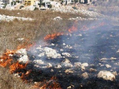 مستوطنون يحرقون أراضي زراعية 
