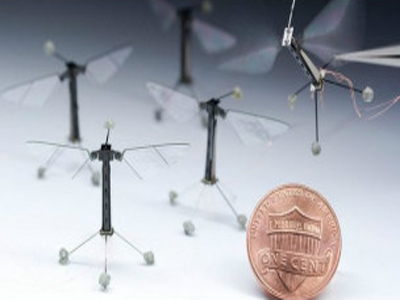 أصغر حشرة آلية طائرة في العالم تبدأ التحليق 