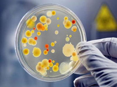 بكتيريا مقاومة لجميع أنواع المضادات الحيوية