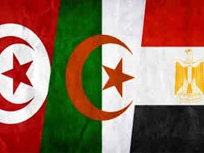 مصر وتونس والجزائر يؤكدون رفضهم التدخل الخارجي في ليبيا 