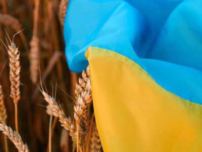 اوكرانيا تتهم روسيا بسرقة مئات الالاف الاطنان من الحبوب 