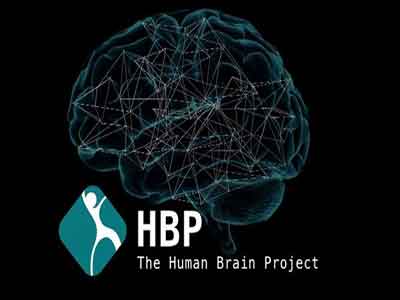 العقل البشري (HBP)